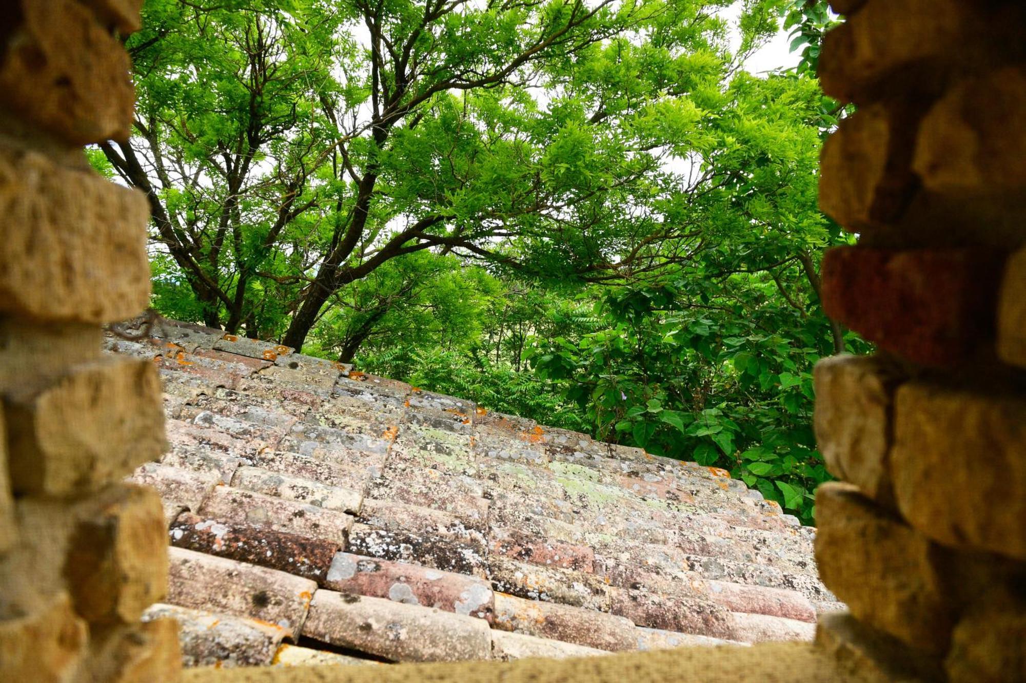 Le Mas Des Aigras - Hotel & Restaurant De Charme En Provence Orange  Ngoại thất bức ảnh
